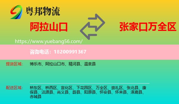 阿拉山口市到萬全區(qū)物流