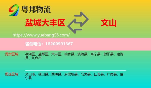 大豐區(qū)到文山物流