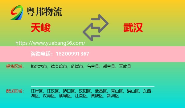 天峻縣到武漢物流